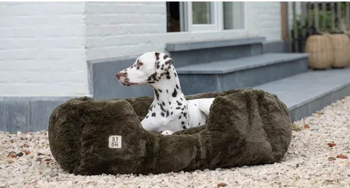 Capture d’écran_9-3-2026_135351_51-degrees-north.webflow.io.webp