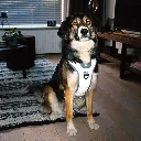 5414365405380_sc3_webl.webp
