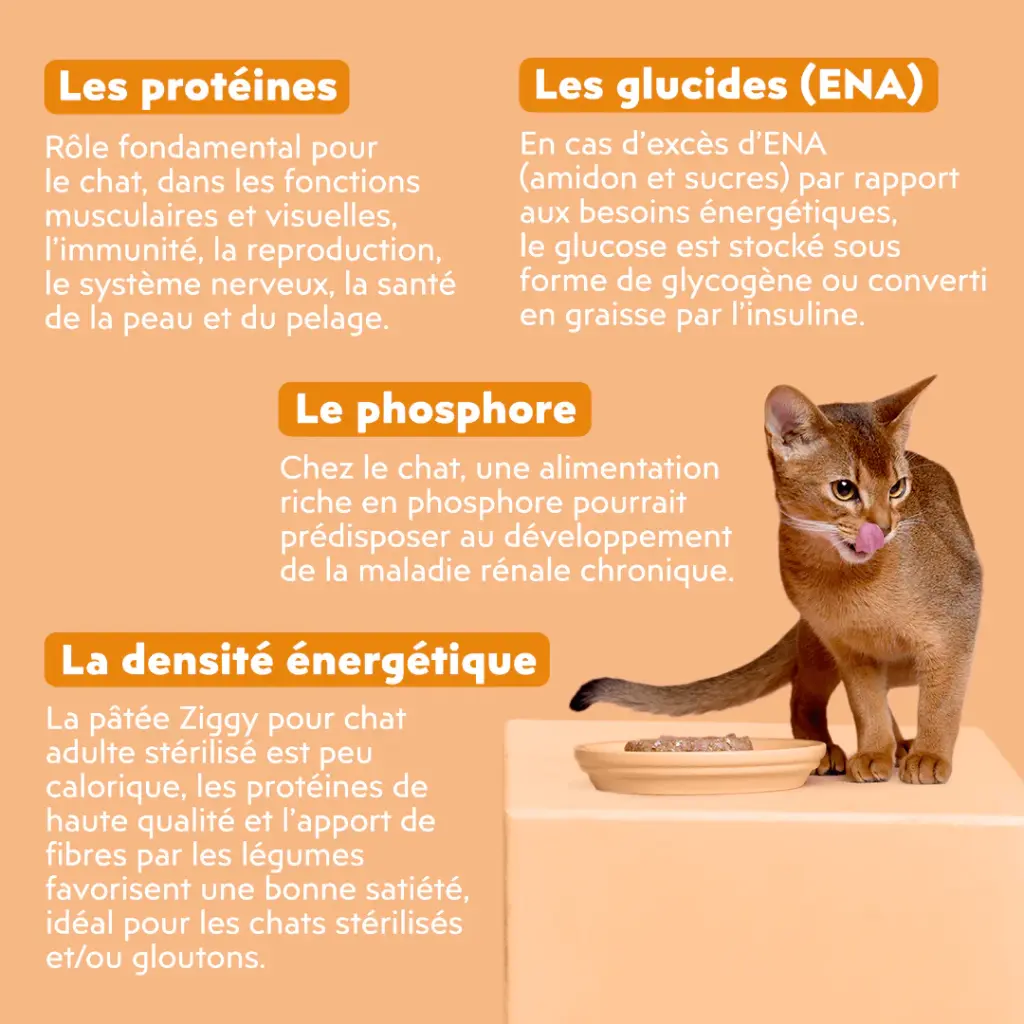 Pâtée chat sterilisé poulet tomate olive 3.webp