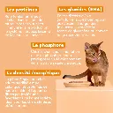 Pâtée chat sterilisé poulet tomate olive 3.webp