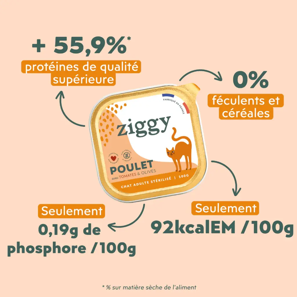 Pâtée chat sterilisé poulet tomate olive 2.webp