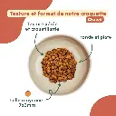 croquetteschaton-ziggy.webp