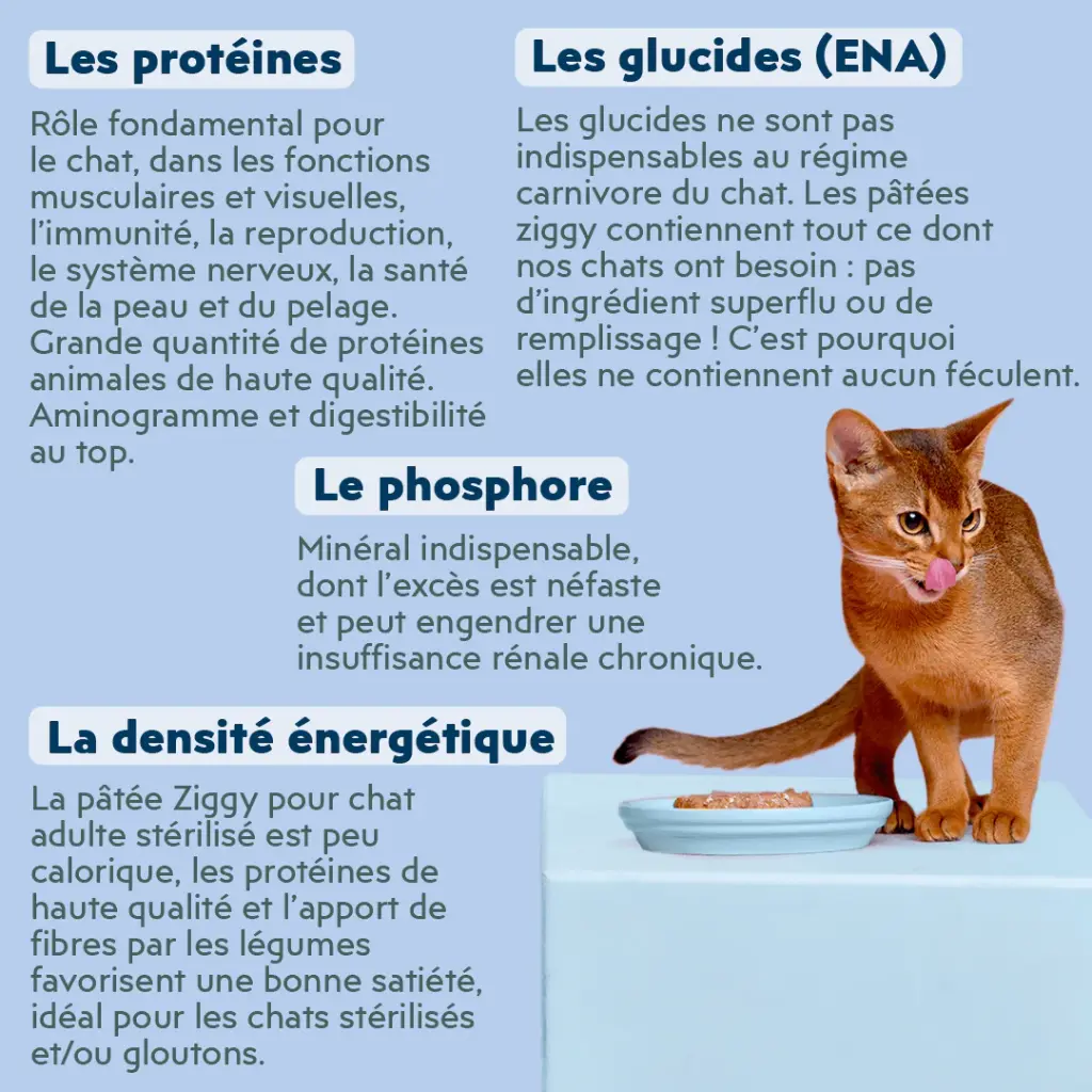 Pâtée chat sterilisé poisson blanc 3.webp
