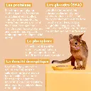 Pâtée chat sterilisé poulet 4.webp