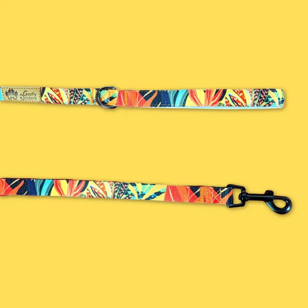 motifs-laisse-chien-originale-et-durable-Tropical (1).webp