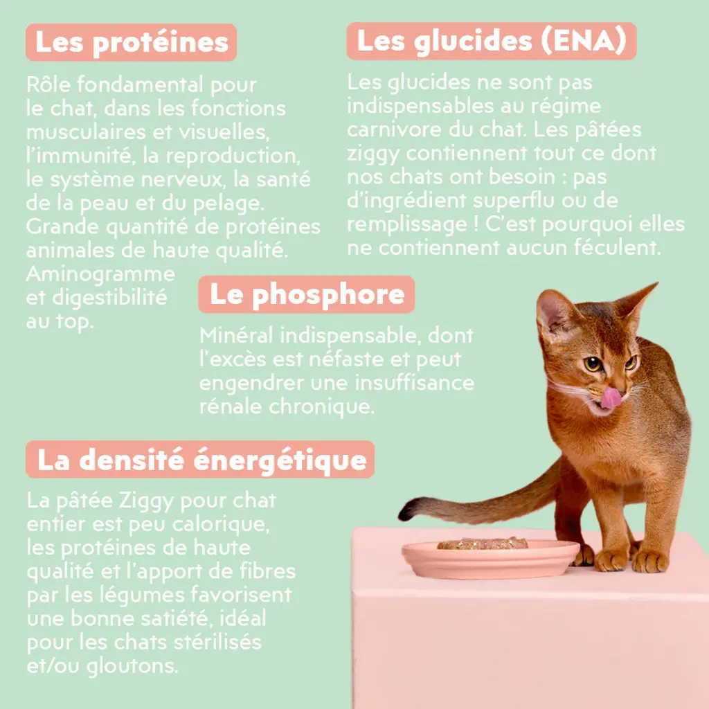 Pâtée chat sterilisé boeuf  4 - Copie.webp