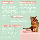 Pâtée chat sterilisé boeuf  4 - Copie.webp