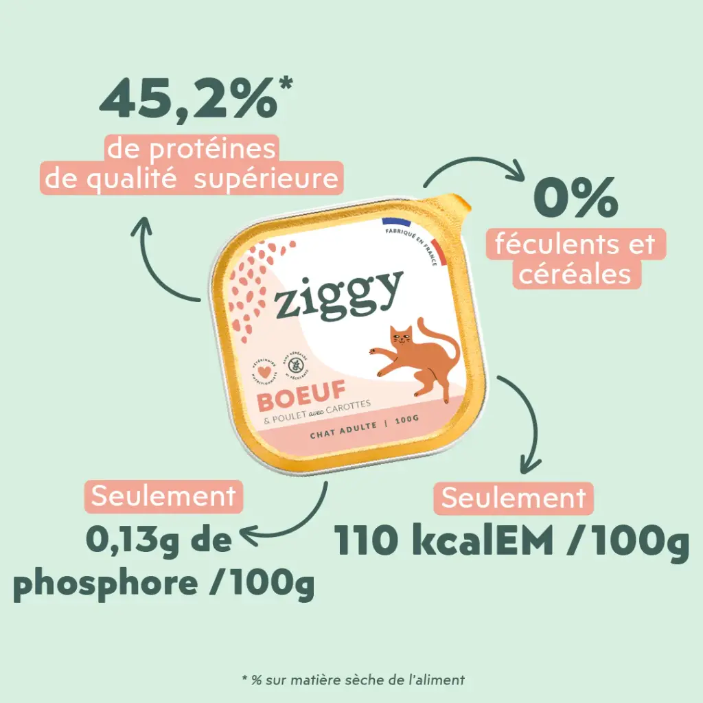 Pâtée chat sterilisé boeuf 3.webp