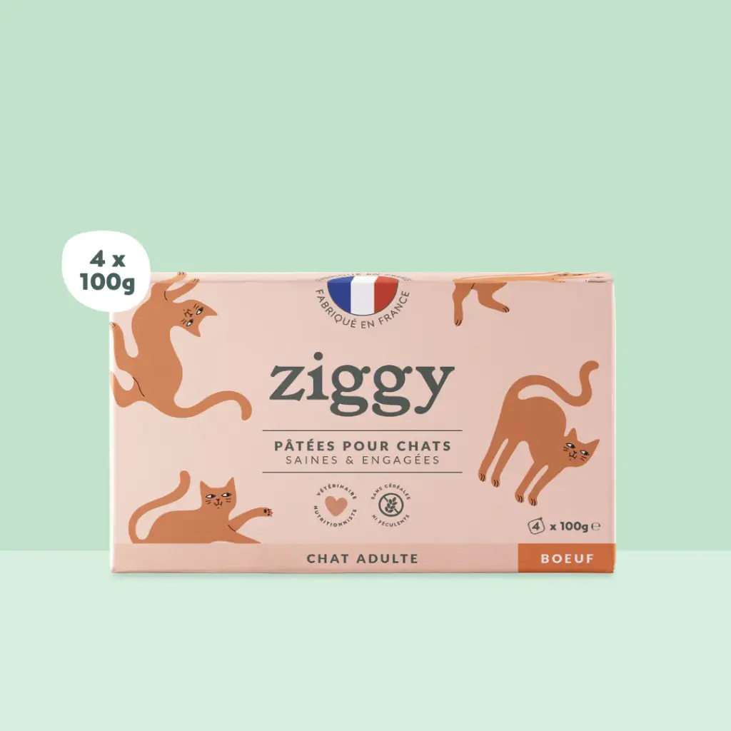 Pâtée chat sterilisé boeuf 2.webp