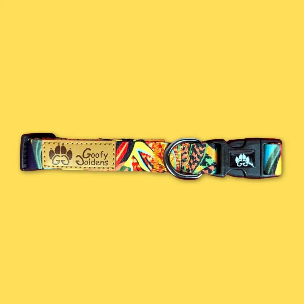 collier-chien-tendance-et-colore-Tropical-plie.webp