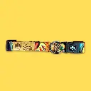 collier-chien-tendance-et-colore-Tropical-plie.webp