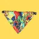 collier-et-bandana-original-Tropical_goofy.webp