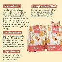 croquetteschaton ziggy 4.webp