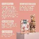 croquetteschat-CSTPTSC1_4.webp