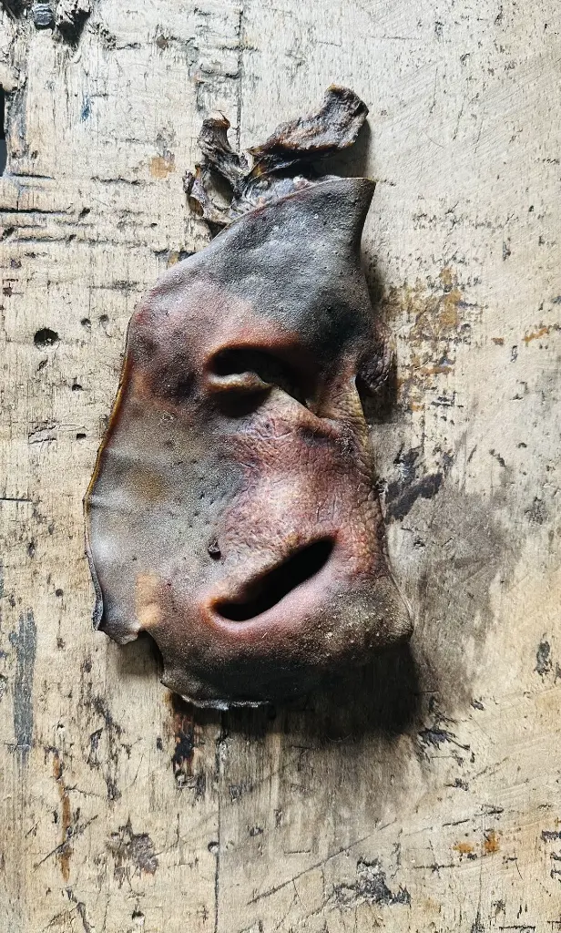 Nez de Boeuf Séché.webp