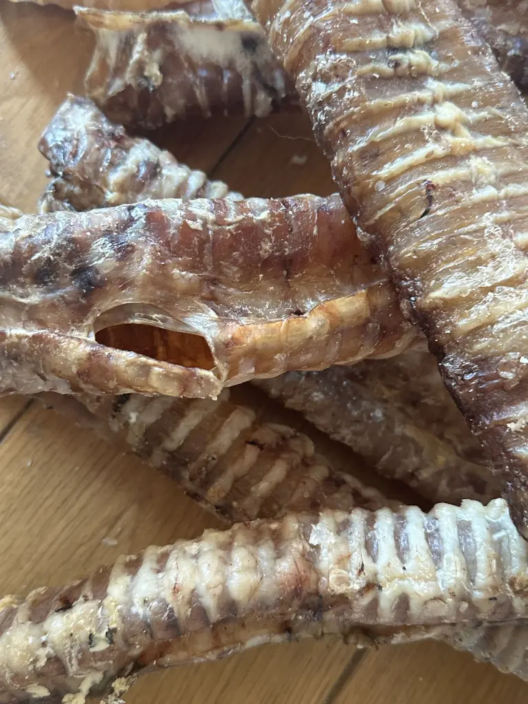 TRACHEE BOEUF 40 ZOOM.webp