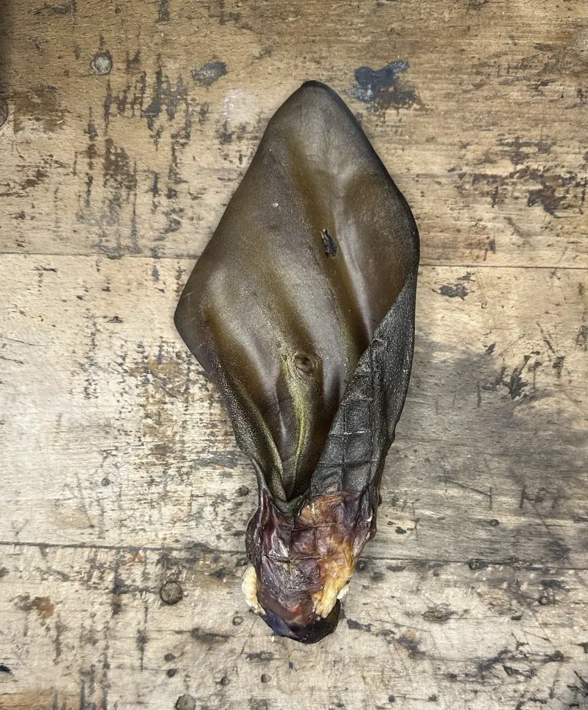 OREILLE DE BOEUF SECHEE.webp