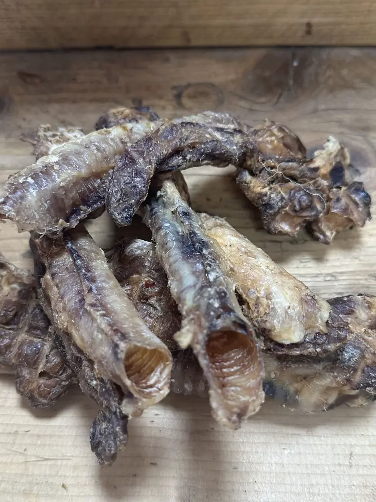 AGNEAU TRACHEE 1.webp