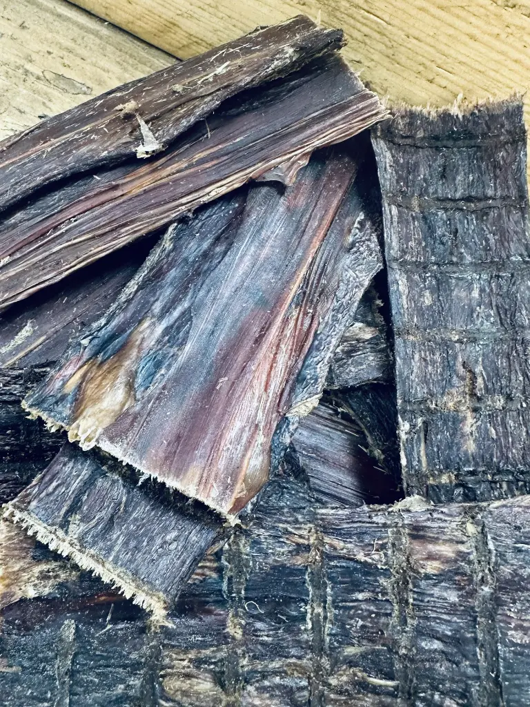 BOEUF LANIERE ZOOM.webp