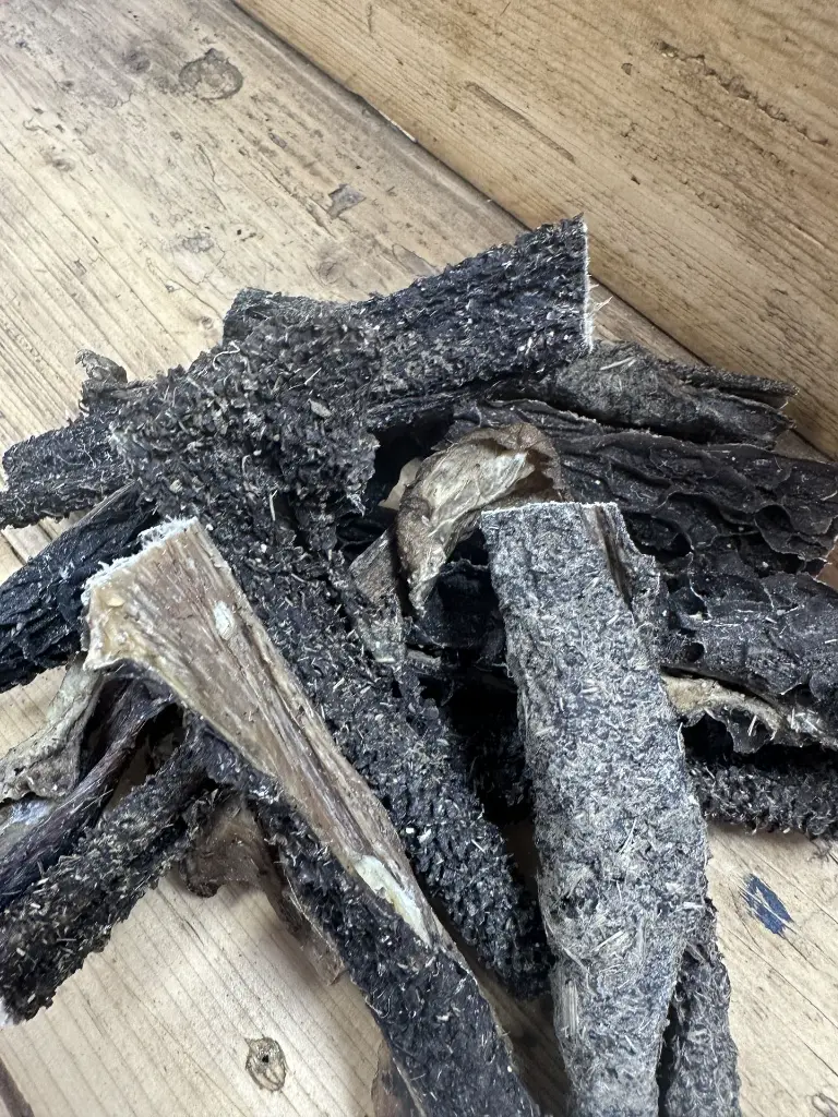 BOEUF PANSE ZOOM.webp