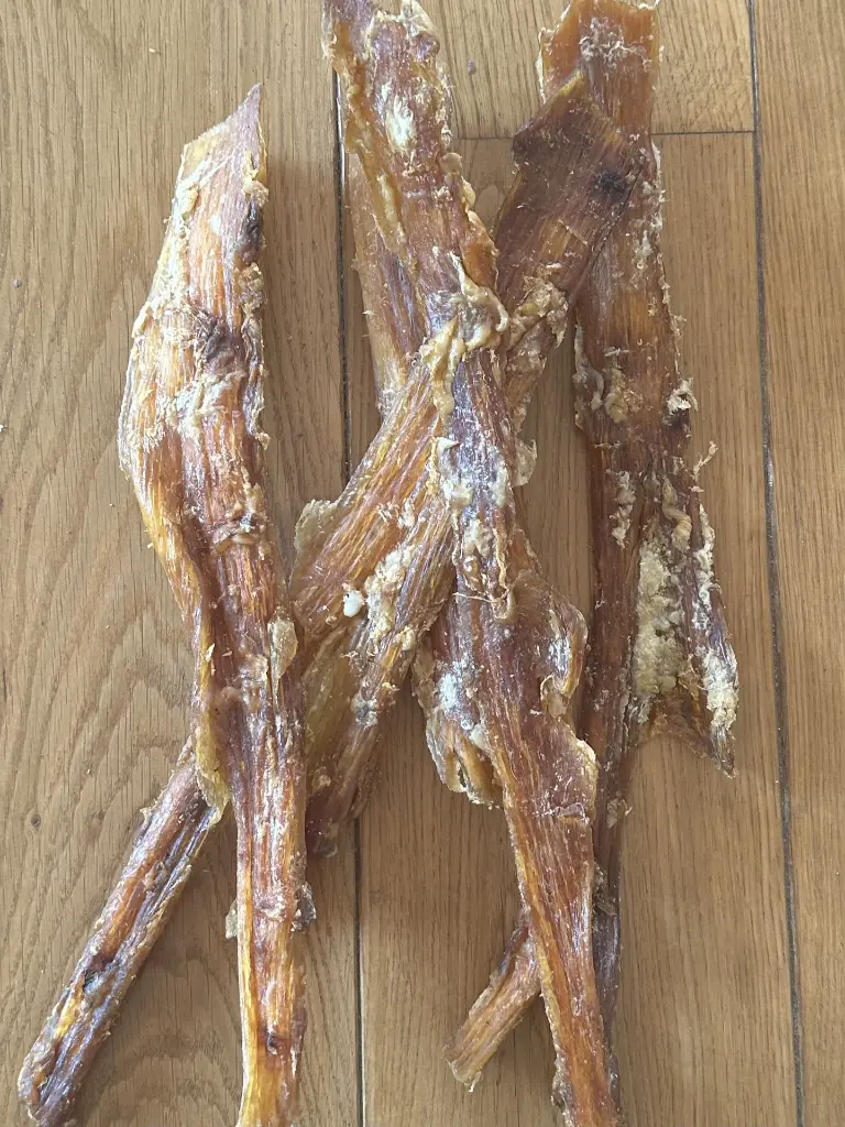 BOEUF TENDONS GRAND ZOOM 1.webp