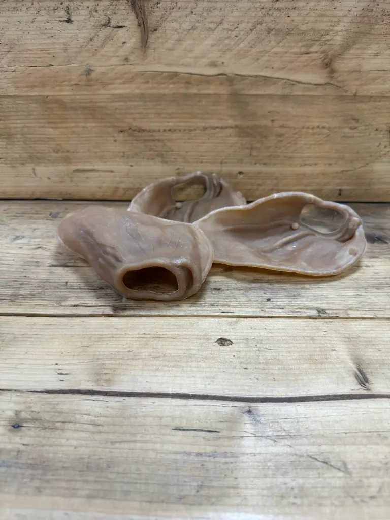 FRIANDISES VEGGIE - OREILLE DENTAIRE