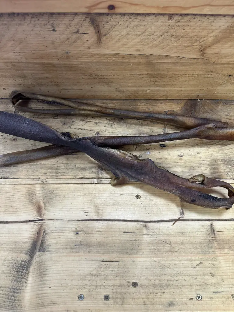 SANGLIER - Peau séchée 