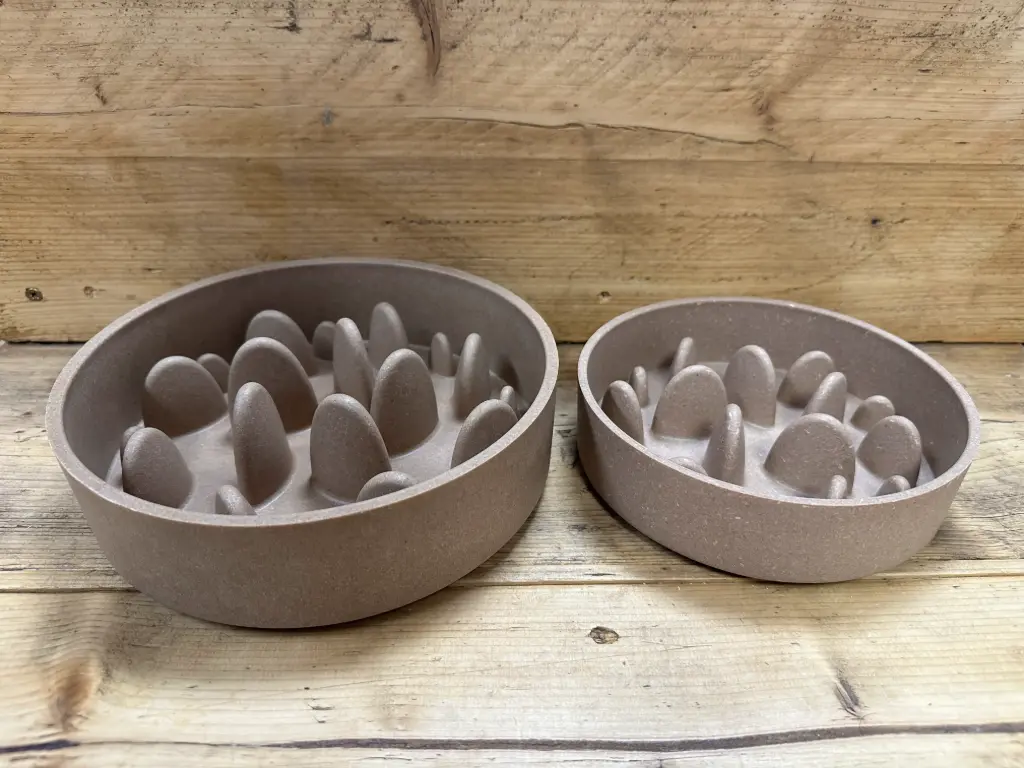 GAMELLES ANTI GLOUTON