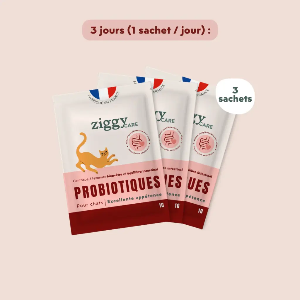 PROBIOTIQUES CHAT 