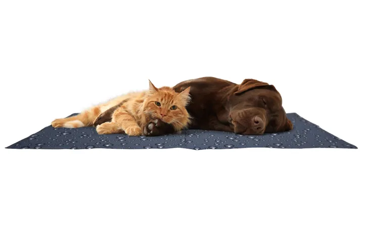 TAPIS RAFRAICHISSANT (S)