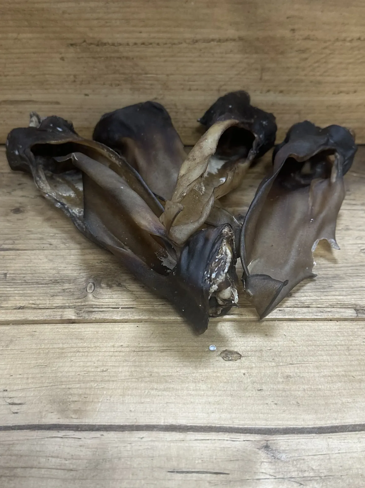 CERF - Oreilles séchées