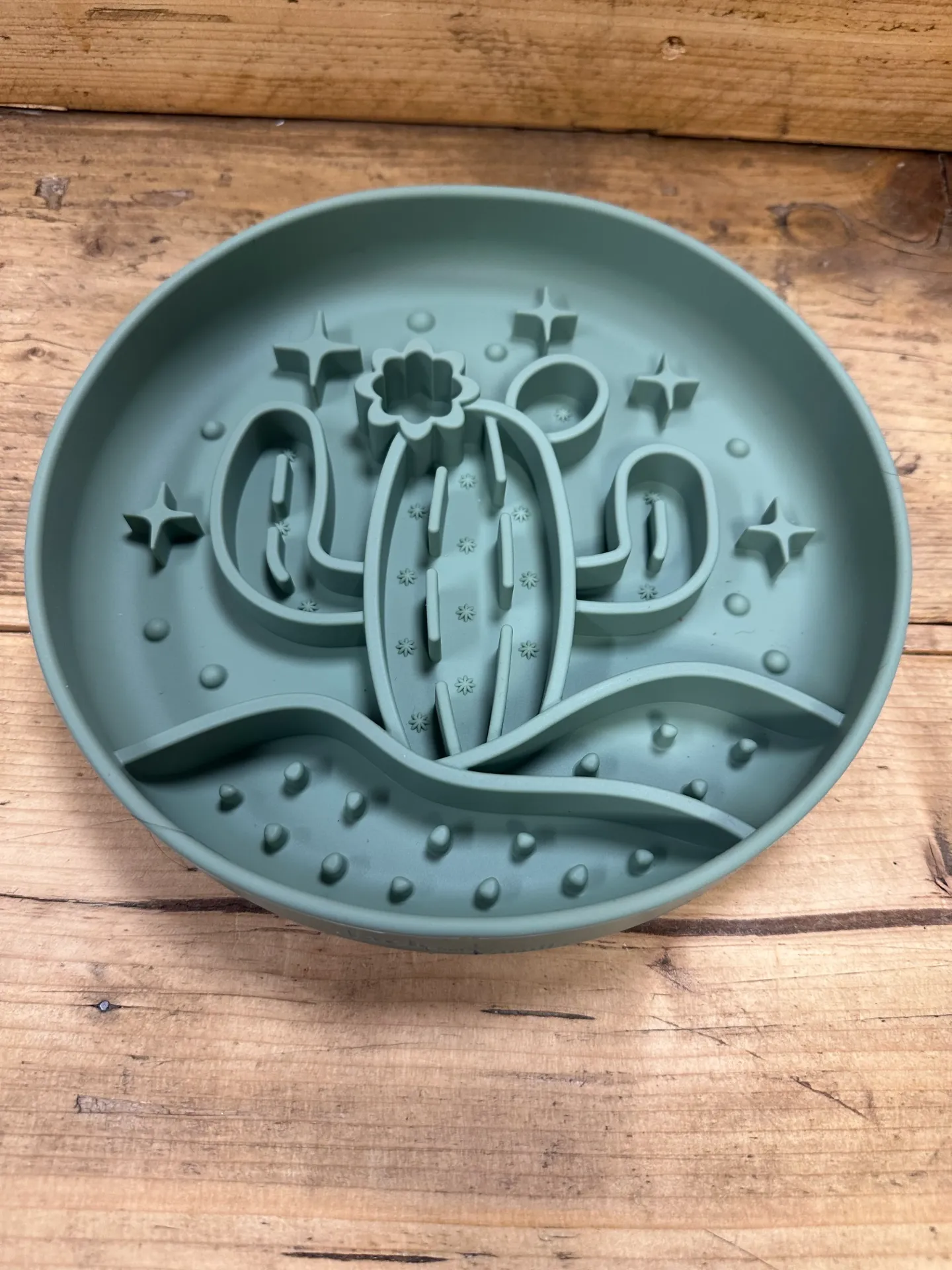 GAMELLE RÉGALADE CACTUS - ANTIDÉRAPANTE