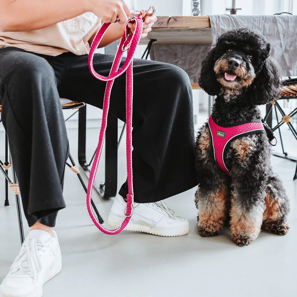 HUNTER HILO - HARNAIS