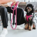 HUNTER HILO - HARNAIS