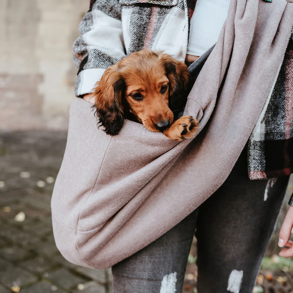 SAC DE TRANSPORT DOGGY