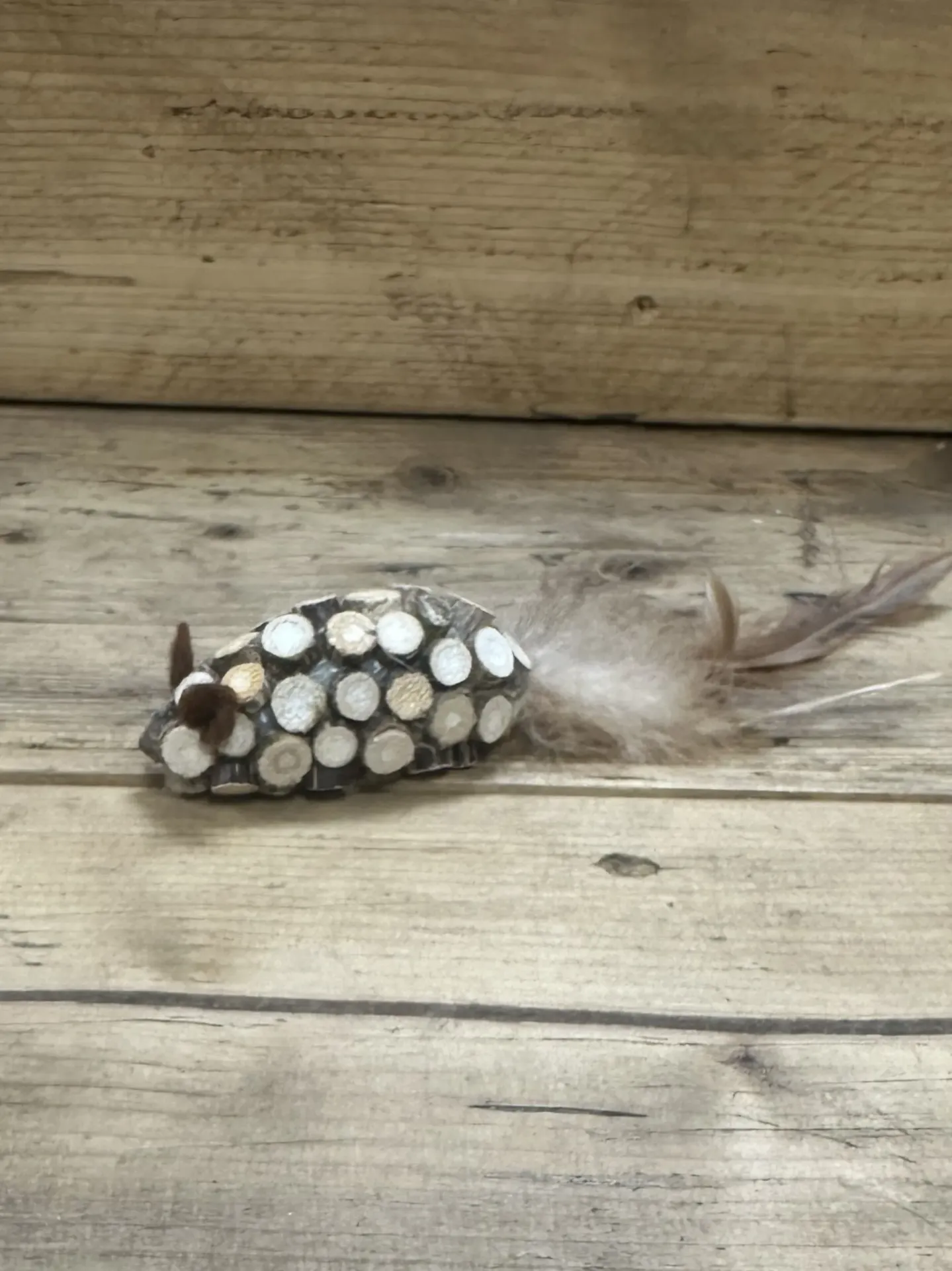 CHAT - SOURIS PLUMES