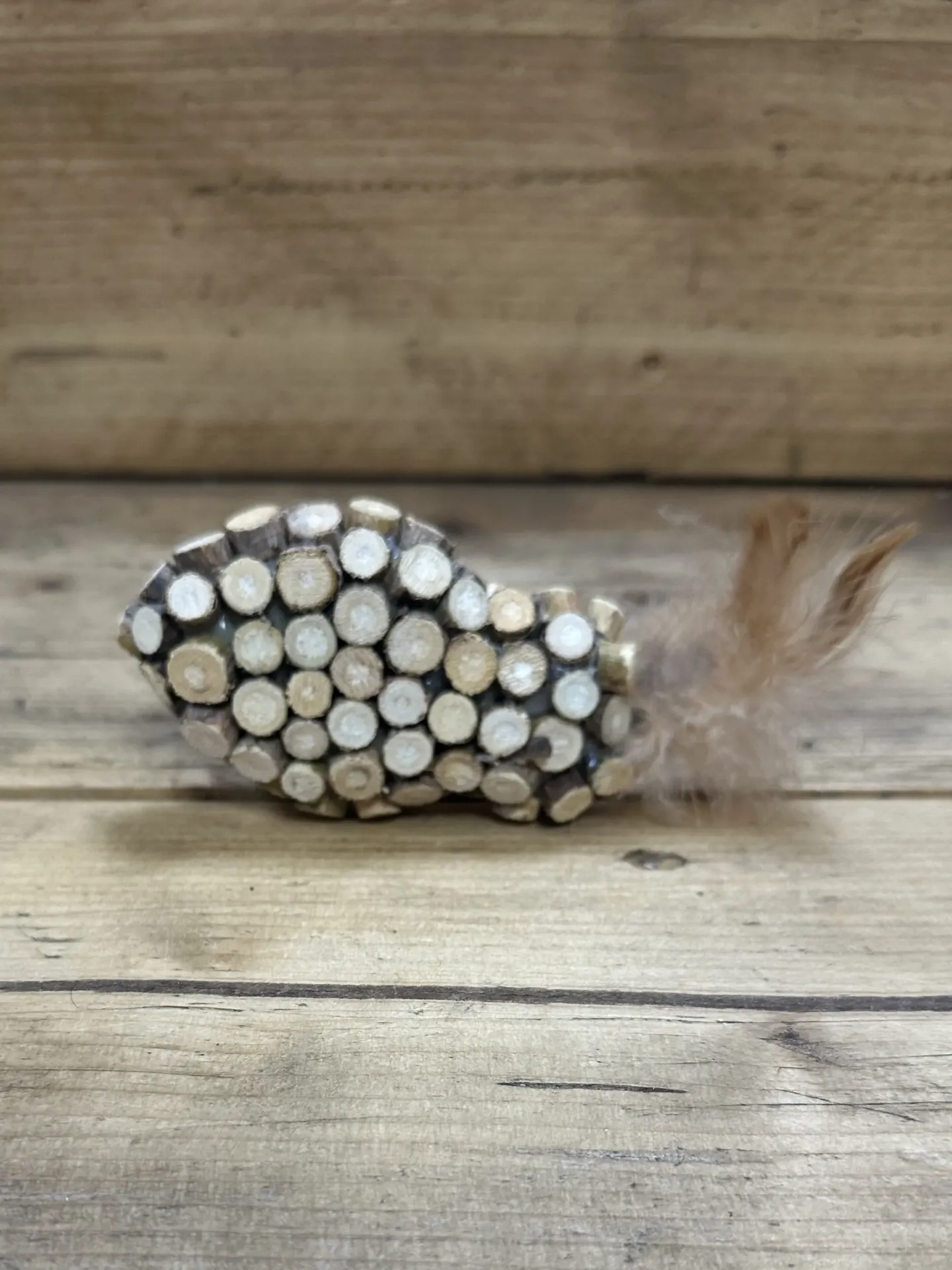 CHAT - POISSON PLUMES