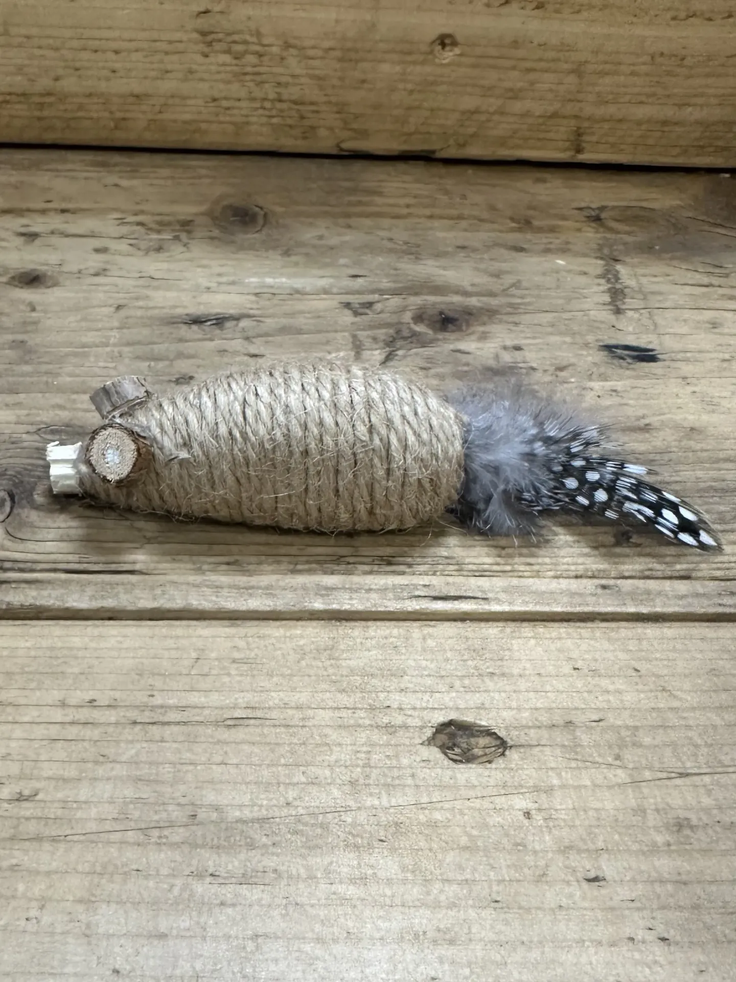 CHAT - SOURIS PLUMES ET CHANVRE