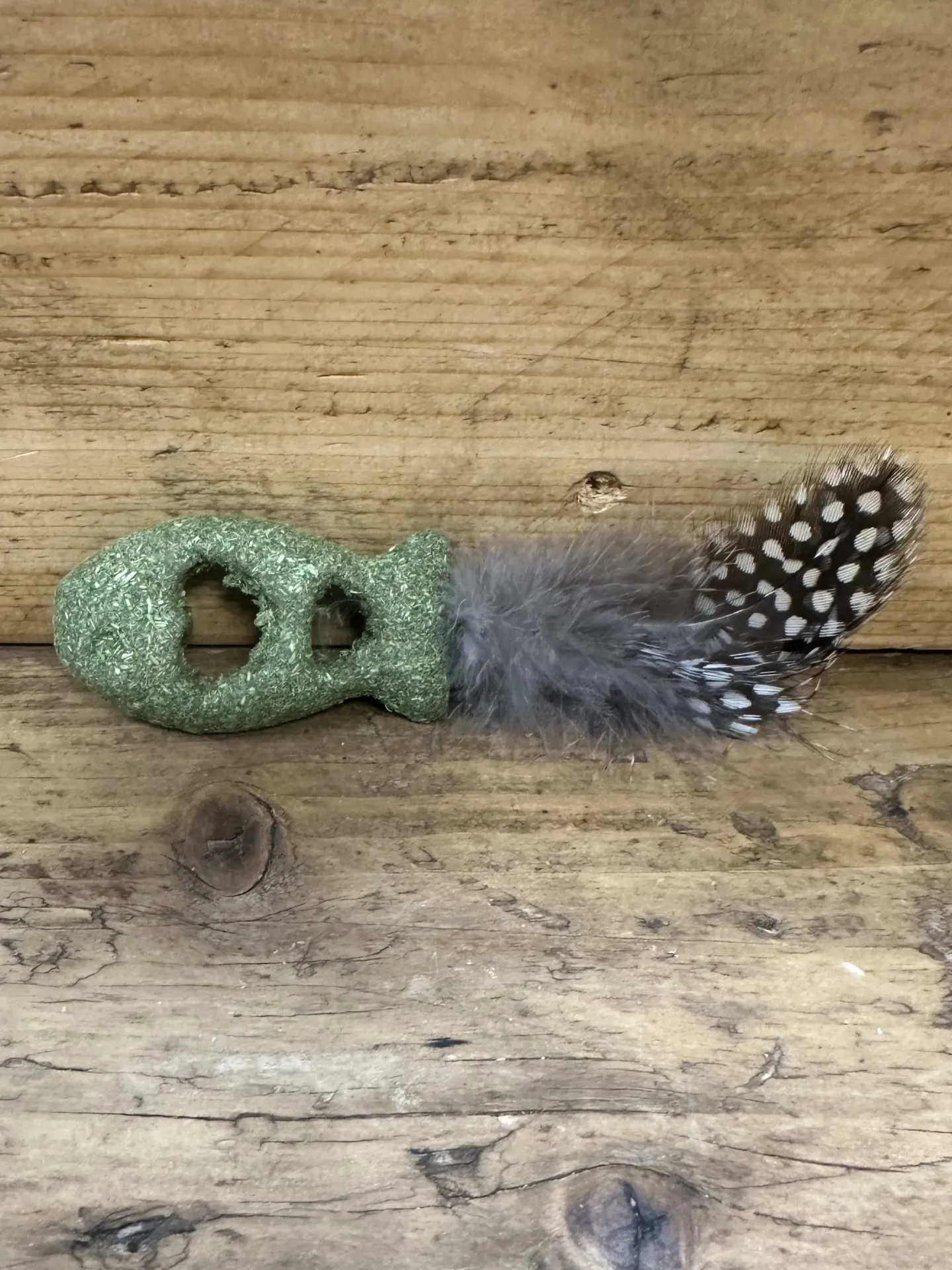 CHAT - POISSON PLUMES ET HERBE À CHAT