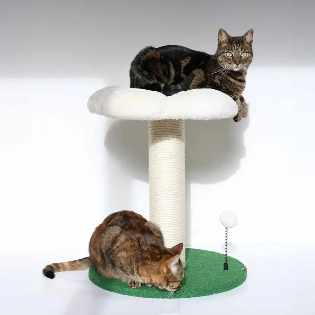 ARBRE À CHAT FLOWER POWER