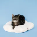 COOCKOO - COUSSIN CHAT FLOWER