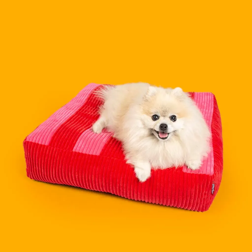 COUSSIN COZY CHIEN