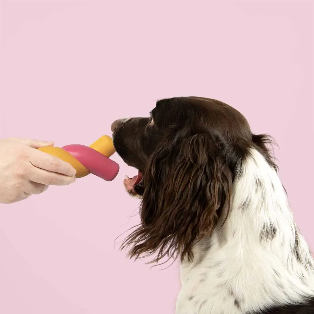 COOCKOO - TWISTED S'MORES