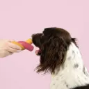 COOCKOO - TWISTED S'MORES