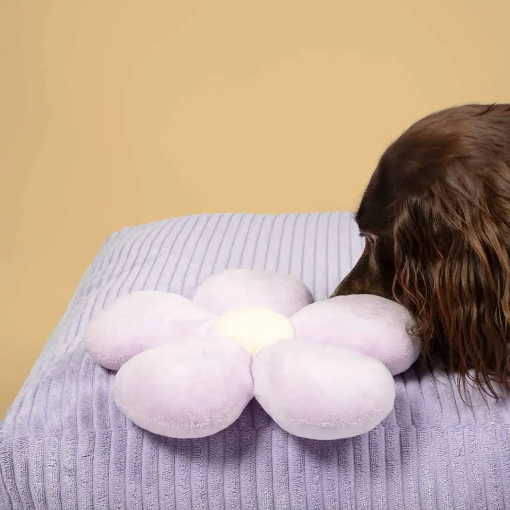 COOCKOO -  PELUCHE FUN FLOWER