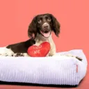 COOCKOO - PELUCHE HUG ME