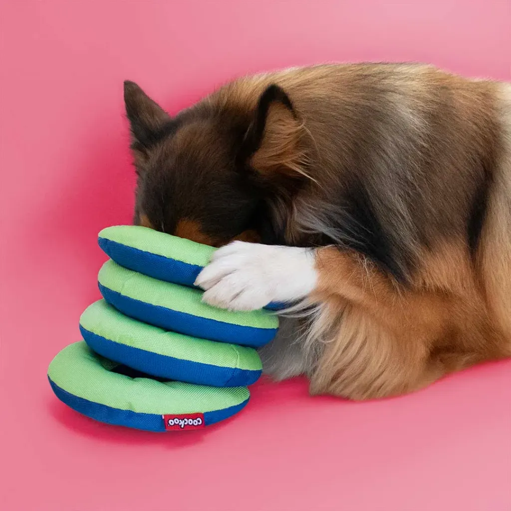 COOCKOO - RINGO REGGIE