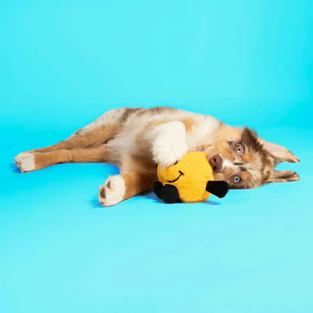 COOCKOO - BOUNCY BUDDY