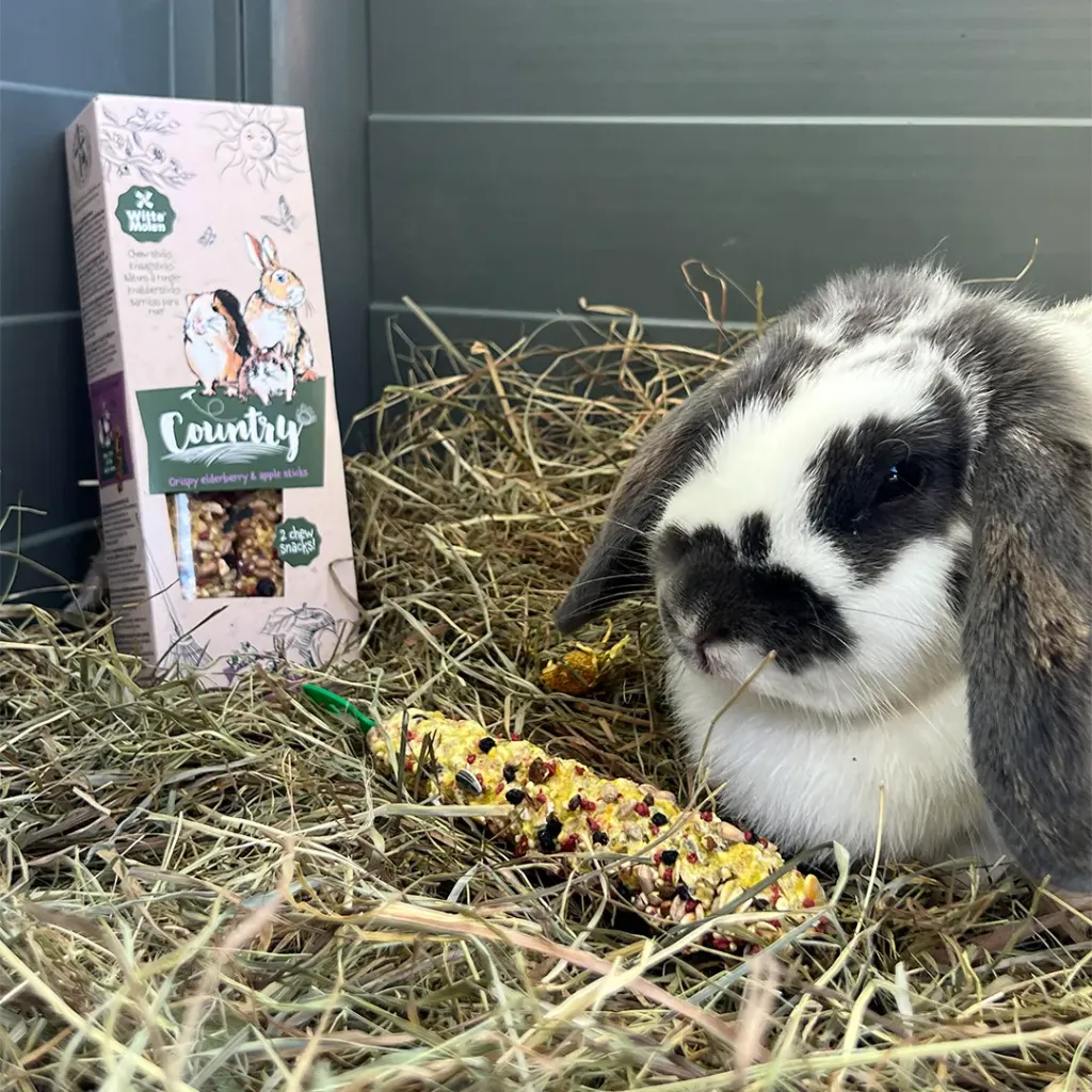 FRIANDISE BÂTONS À RONGER - CASSIS POIRE