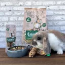 FRIANDISE BÂTONS À RONGER - PAPAYE HIBISCUS